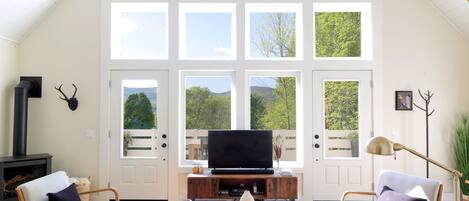 Una televisión, una chimenea, una consola de videojuegos, Netflix