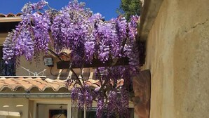 Un bâtiment doté d’une entrée avec une porte en verre, d’un toit recouvert de tuiles et de plantes grimpantes aux fleurs violettes.