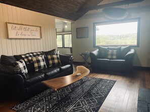 Smart TV, fireplace, Netflix, DVD player