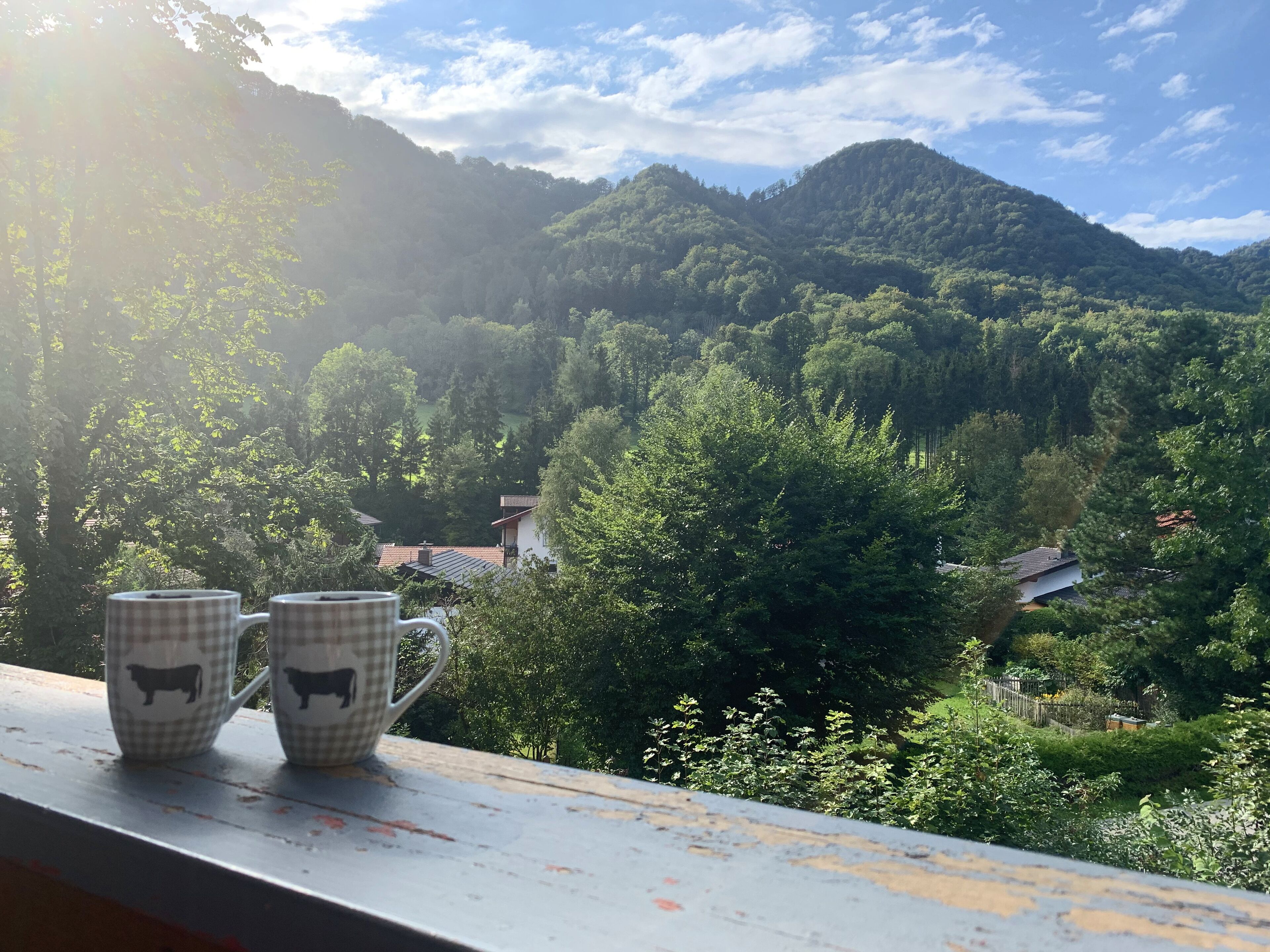 A view from a window overlooking a mountainous landscape with trees and houses.