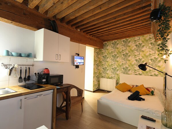Iron/ironing board, WiFi, bed sheets - Charming Studio Centre Ville De Lyon (Lyon)