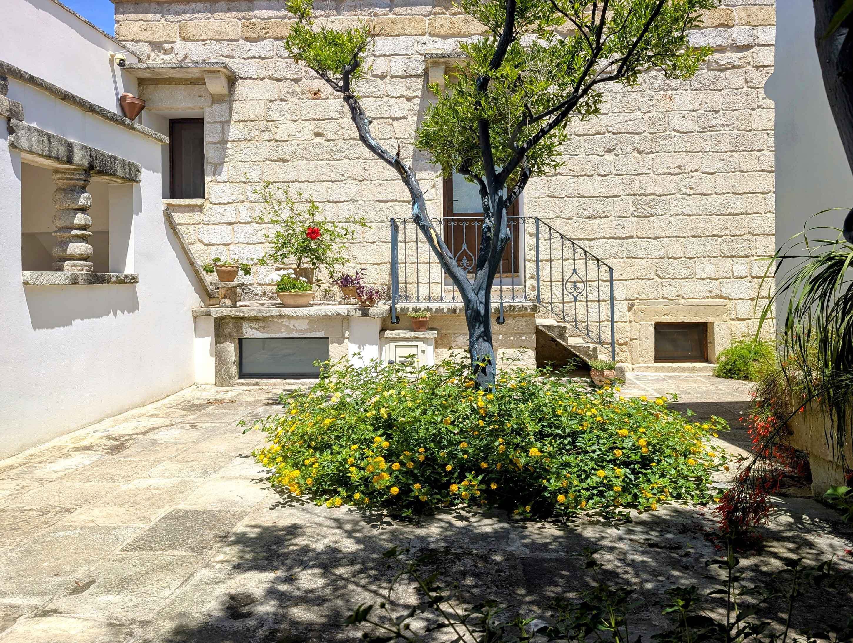 Ein Innenhof mit Steinmauer, Baum und Blumenbeet.