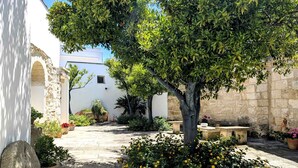 Un patio con un árbol, plantas en macetas y un banco de piedra.