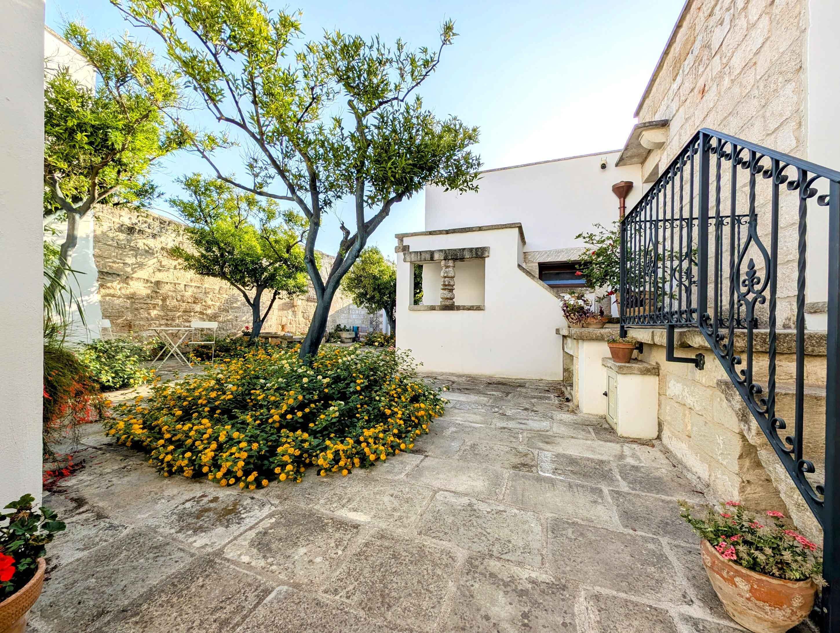 Un patio con piso de piedra, un árbol y plantas en macetas.
