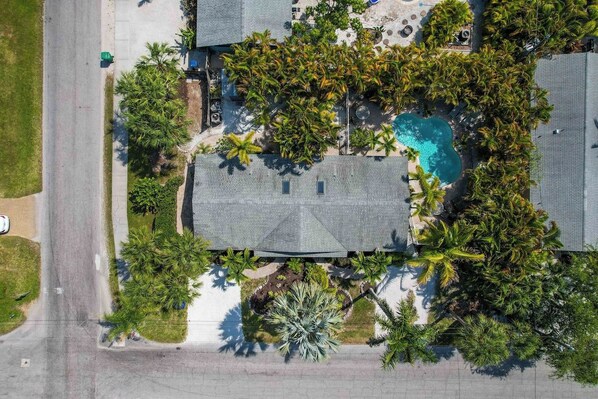 A residential area with a swimming pool surrounded by palm trees and a house with a grey roof.
