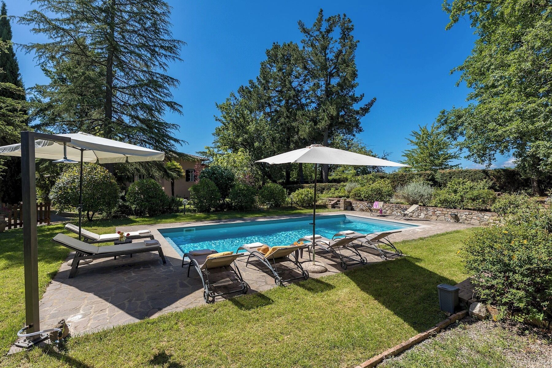 A backyard with a swimming pool, lounge chairs, and umbrellas.