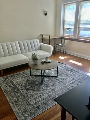 TV - Entire city apartment with free street parking (Chicago)