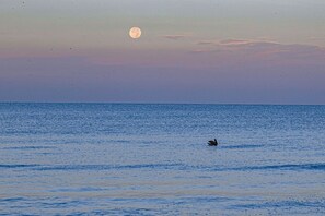 A calm sea with a full moon in the sky. - Tropical Waterfront Villa with Heated Pool & Spa (Punta Gorda)