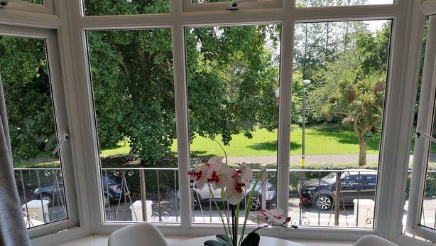 A room with a large window, a round table, and a potted plant.