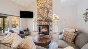 TV, fireplace