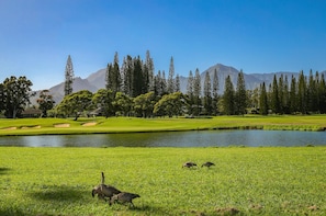 A golf course with a pond, trees, and mountains in the background.