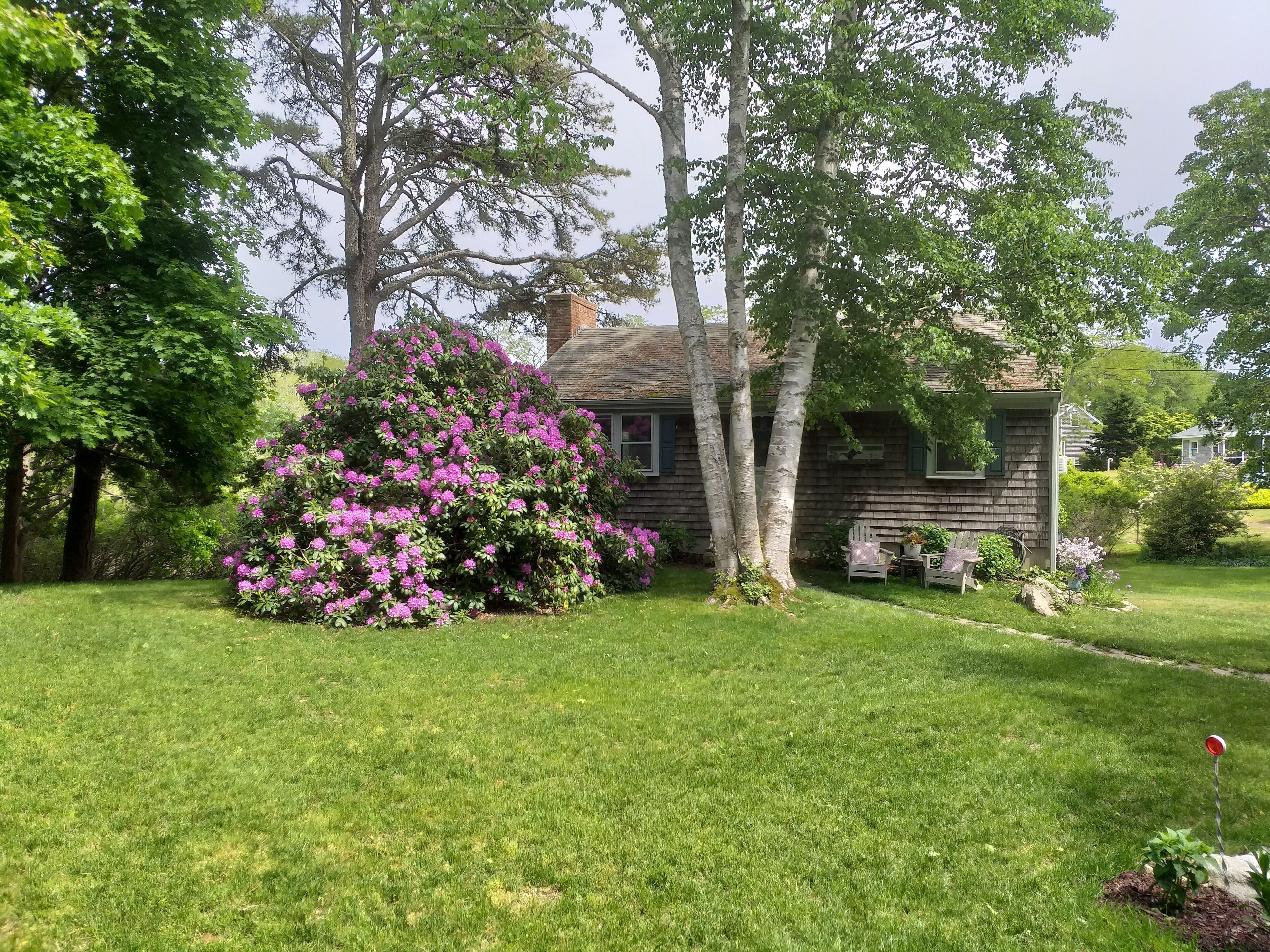 Quaint Cottage in Desirable East Orleans