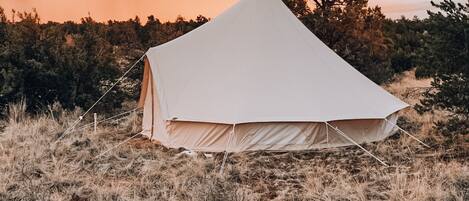 Una gran carpa blanca instalada en un campo cubierto de hierba, con un árbol al fondo.