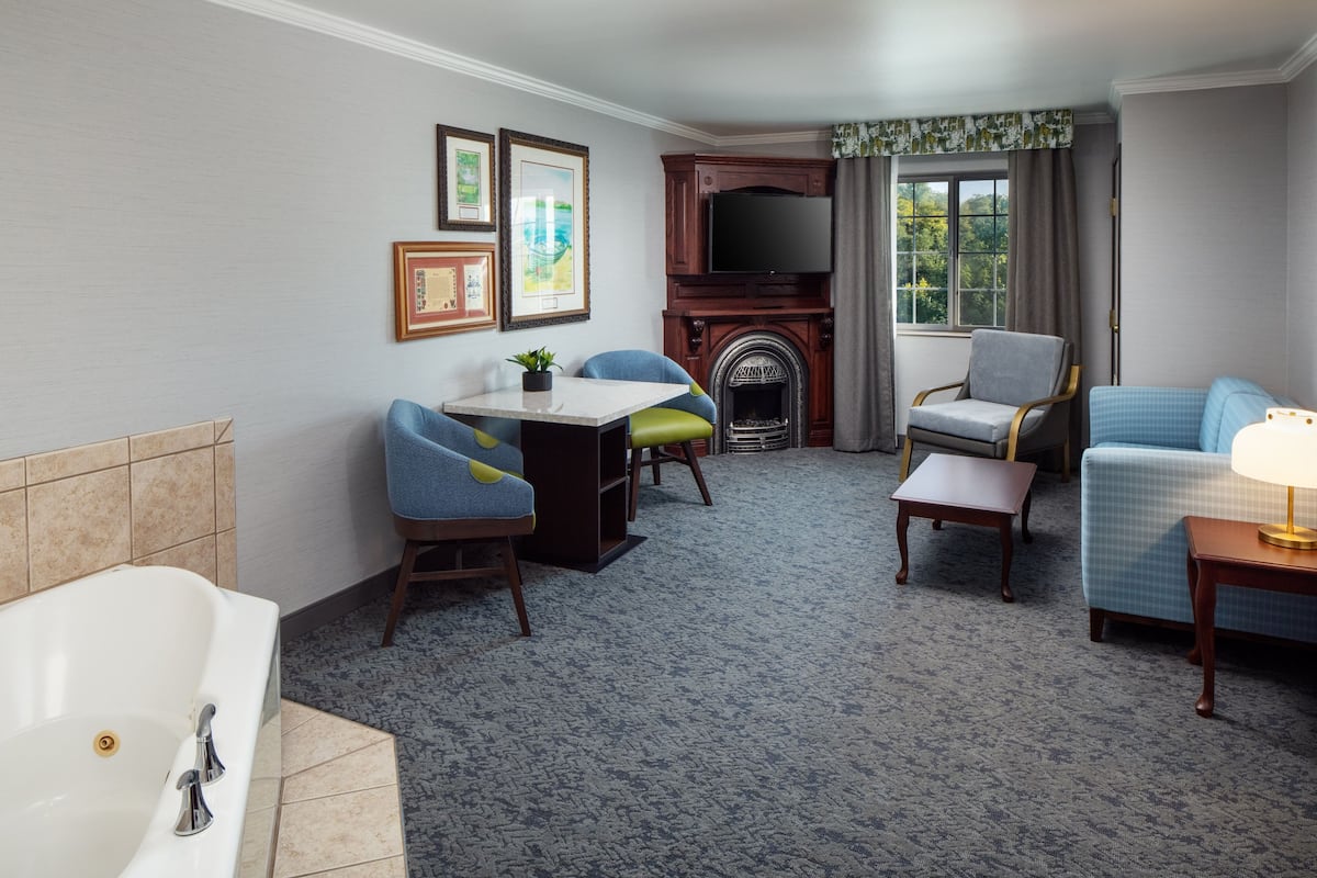 A hotel room with a bathtub, a fireplace, a television, and a seating area with chairs and a table.
