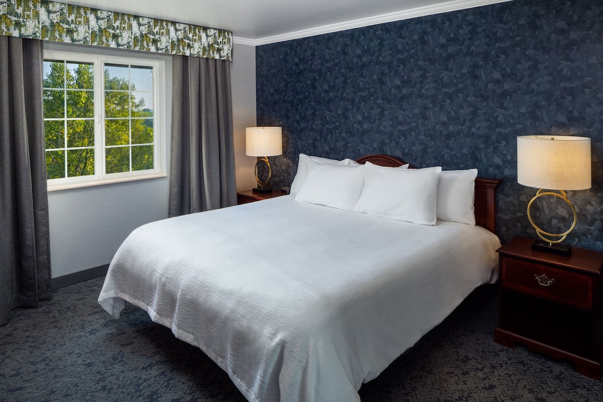 premium suite | 1 bedroom, iron/ironing board, free wifi, bed sheets