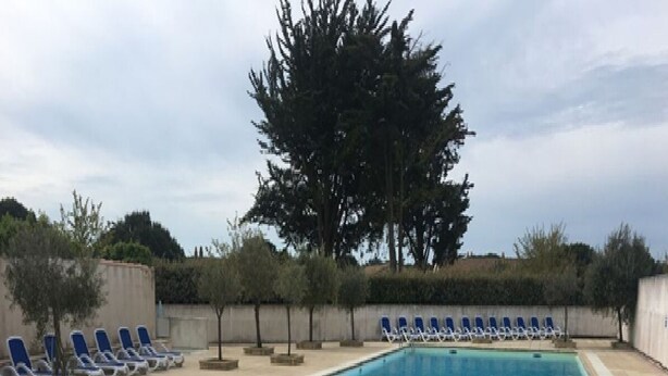 A swimming pool with lounge chairs and a tree in the background. - Maison Dans Résidence Avec Piscine "jetez L'ancre" (La Flotte)