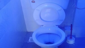 Ein Badezimmer mit Toilette, Bidet und WC-Bürste.