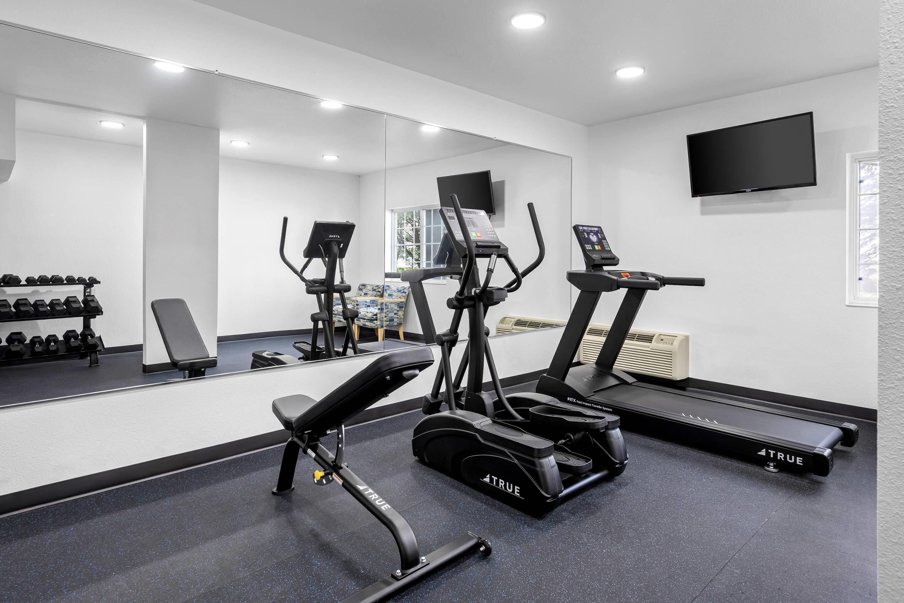 A gym with treadmills, ellipticals, and free weights.