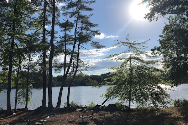 View from back yard