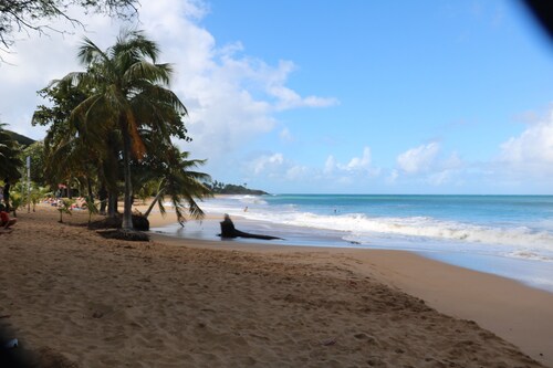 Gite 500m from Cluny beach at the gates of Deshaies 