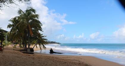 Gite 500m from Cluny beach at the gates of Deshaies