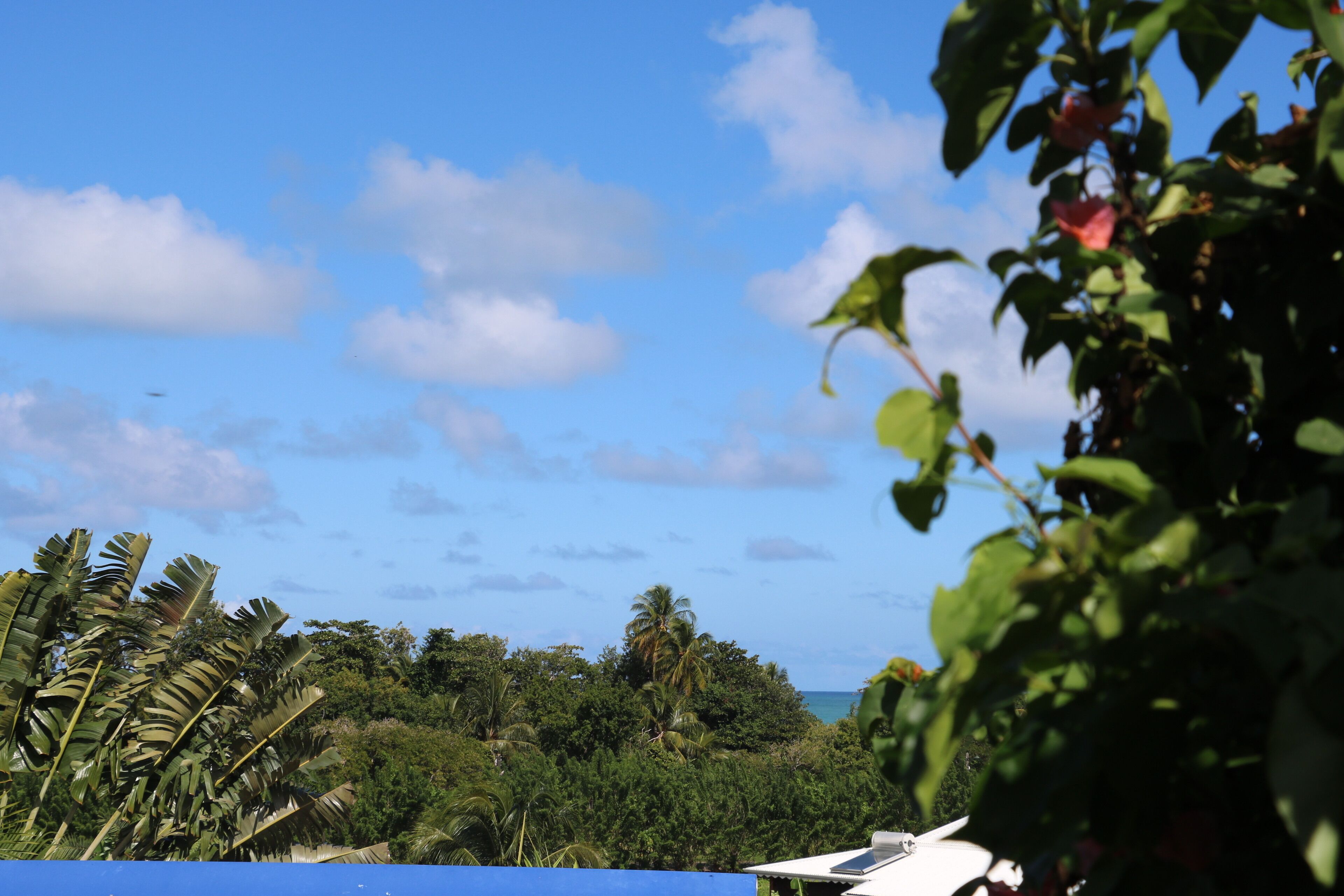 Blick von der Unterkunft