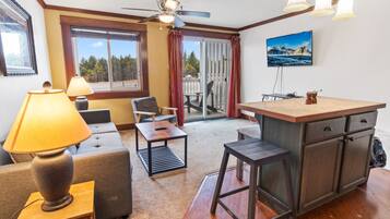 Flat-screen TV, video games