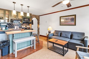 Flat-screen TV, video games - Slopeside Retreat Close to Village & Ballhooter EZ Park Wi-Fi Sleeps 4 (Snowshoe)