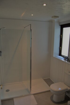 Combined shower/bathtub, hair dryer, towels, soap