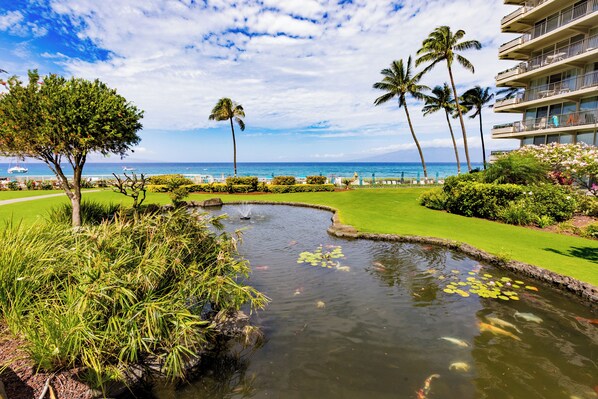 Àrea exterior de l'allotjament