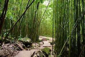 Overnattingsstedets uteområder