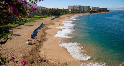 Gorgeous and Newly Updated Tropical Island Getaway #153-6, AC and pool.