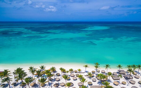 On the beach - Aruba RIU Timeshare Weeks 4, 5, 6, and 7 (Noord)