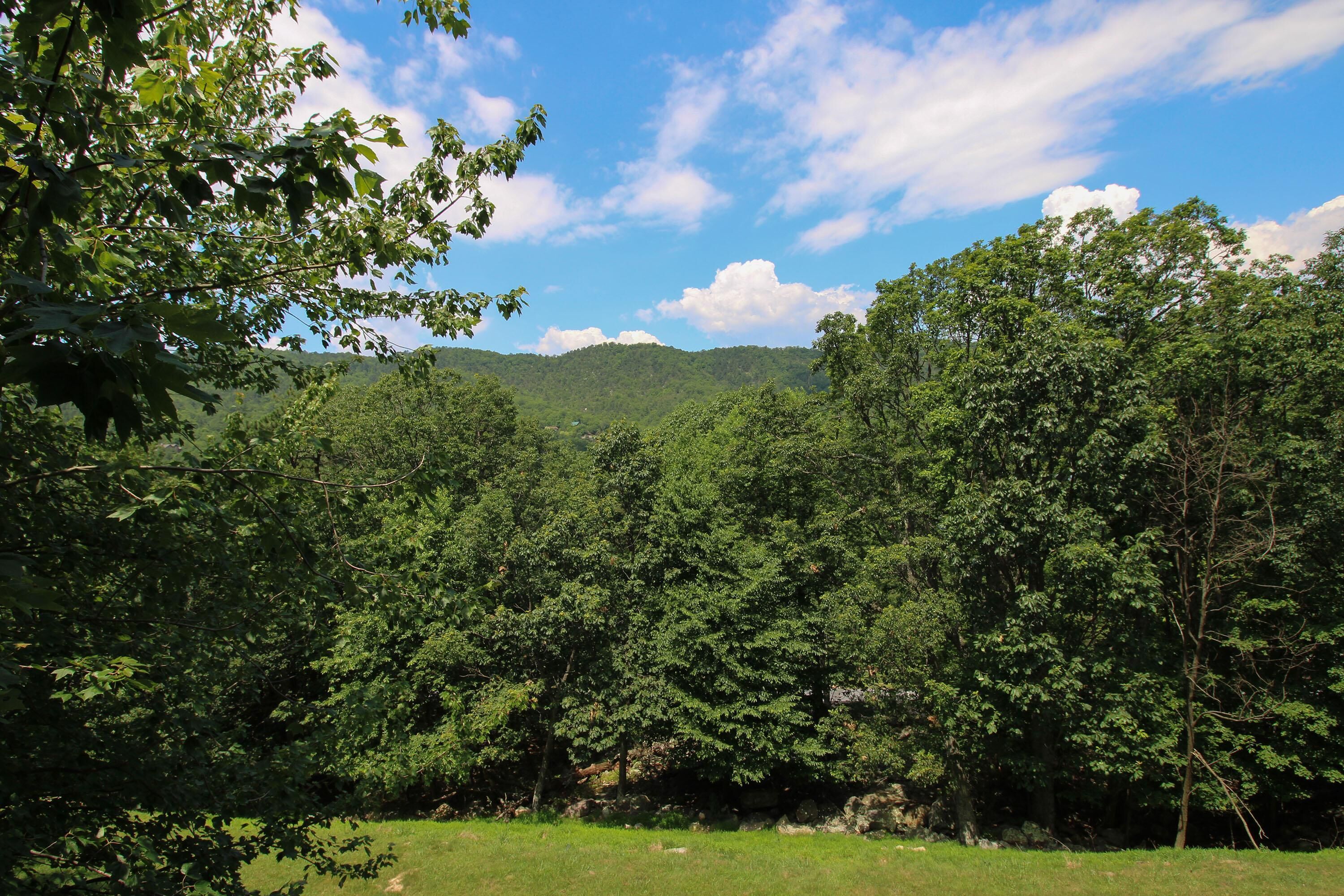 A dense forest with a clear sky and distant hills.