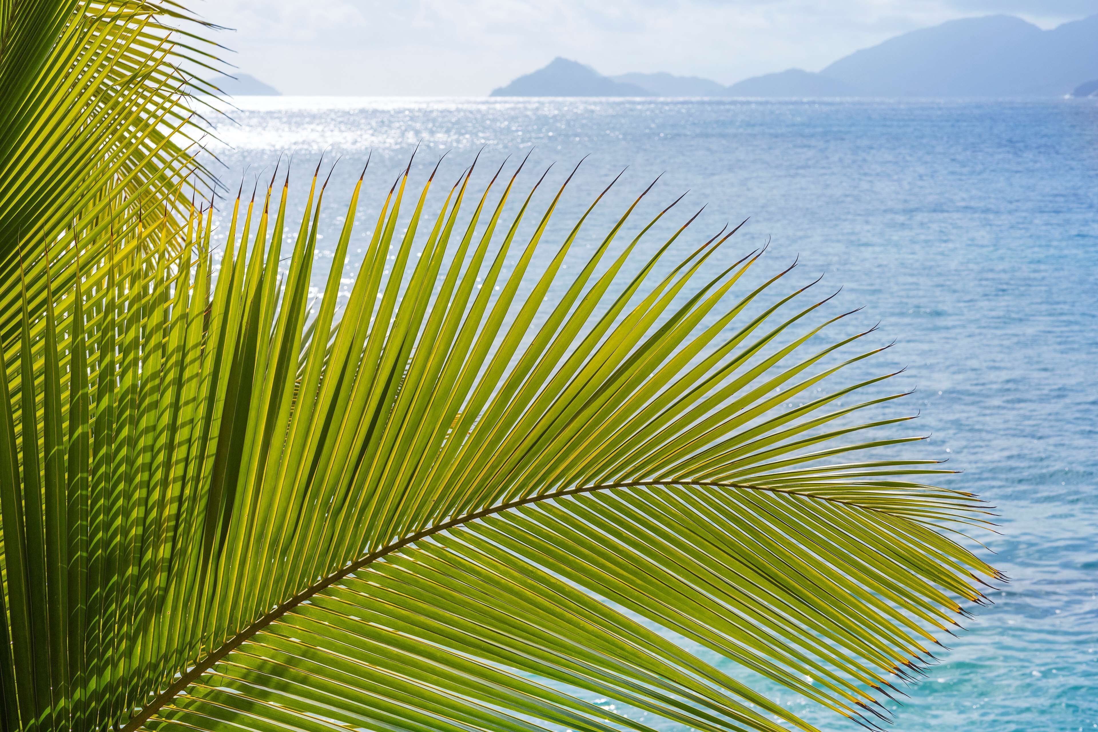 Foto - Mango House Seychelles, LXR Hotels & Resorts