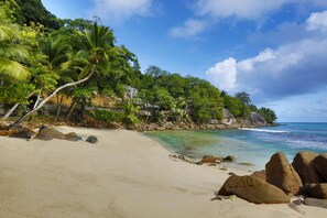 A beach with clear turquoise water, sandy shore, and lush greenery including palm trees. - Mango House Seychelles, LXR Hotels & Resorts (Mahé Island)