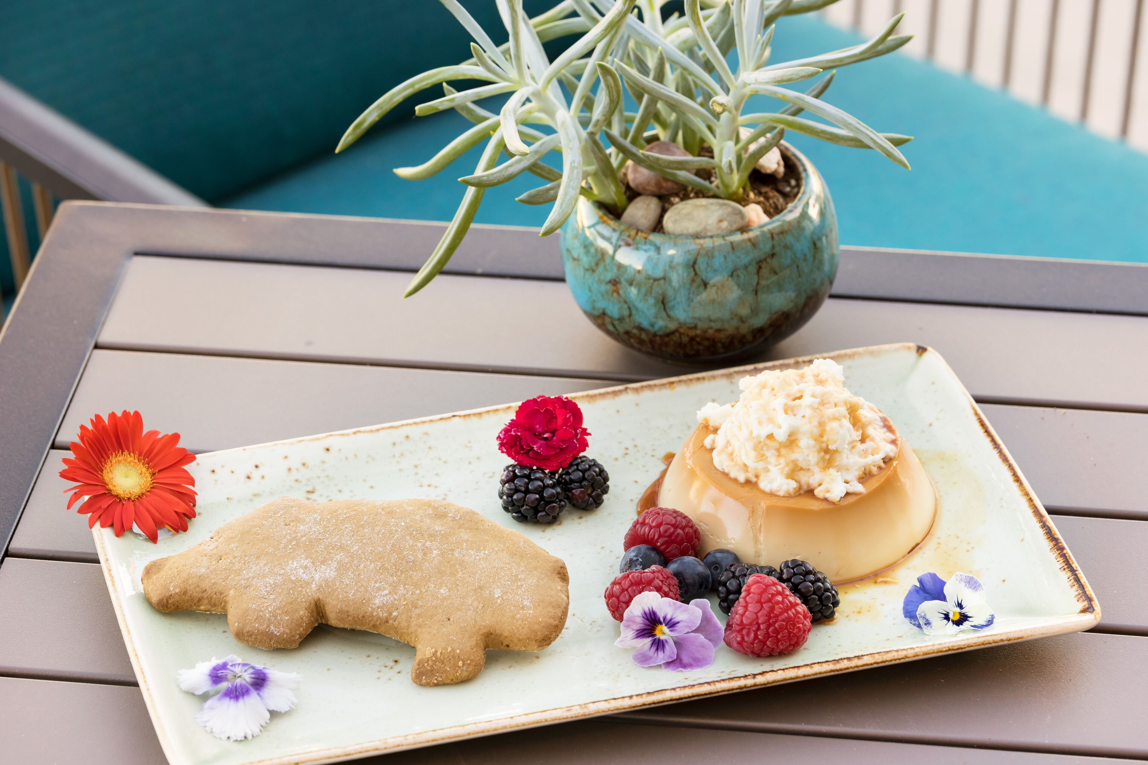 A dessert plate with a cake, berries, and a cookie on a table with a plant in a pot.