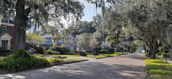 Une rue résidentielle bordée d’arbres et de maisons.