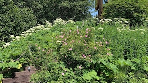 Een tuin met een houten omheining, een stenen muur en een gebouw met een groen dak.