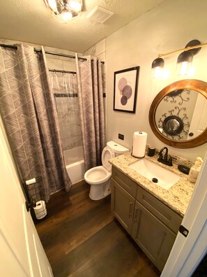 Combined shower/bathtub, jetted bath, hair dryer, towels
