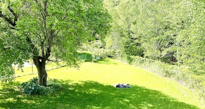 Dog friendly White Mountain Farmhouse with King Size Beds