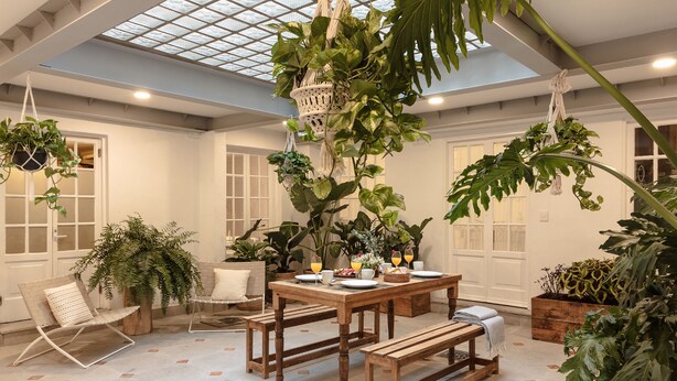 A spacious room with a high ceiling, a skylight, a wooden dining table set with plates and glasses, and various potted plants.