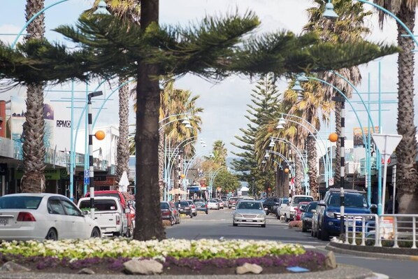 A street lined with palm trees and parked cars. - Modern Marine Parade Apartment (Bay of Plenty)