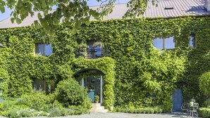 A building covered in ivy with a cobblestone pathway leading to a glass door entrance. - Zábřeh-Lukavice 1 by Interhome (Zabreh)