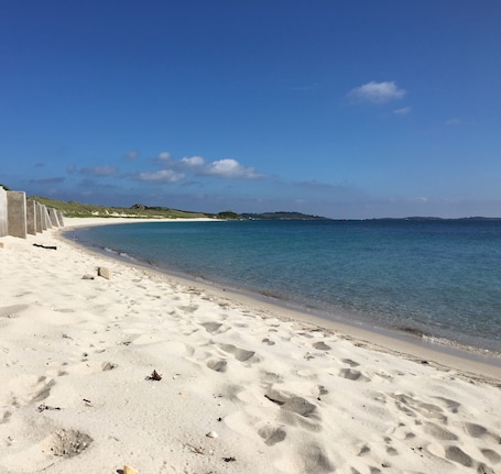 Beach. Appletree