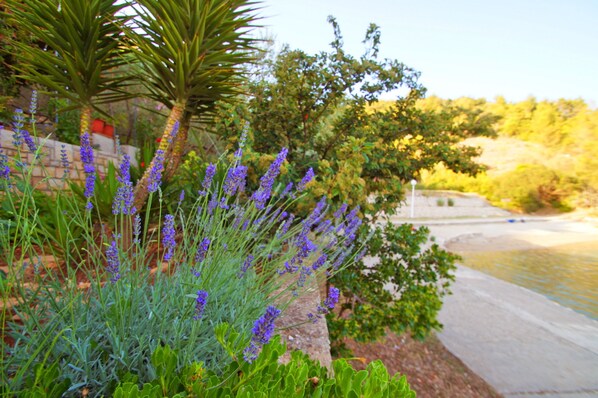 House (One Bedroom Holiday Home) | Terrace/patio