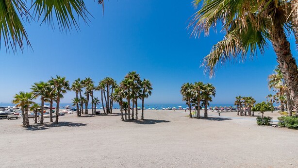 A beach with palm trees, a clear sky, and boats in the water. - New front line beach apartment with swimming pool, A/C and WIFI (Almuñecar)