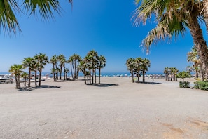 A beach with palm trees, a clear sky, and boats in the water. - New beachfront apartment with a swimming pool, air conditioning, and Wi-Fi   (Almuñecar)