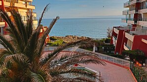 Property grounds - 2-room cabin apartment in Sète, sea view (Sète)