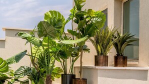 A building with a large window and a balcony with potted plants. - Mr. Montana - By TLV2GO (Tel Aviv)